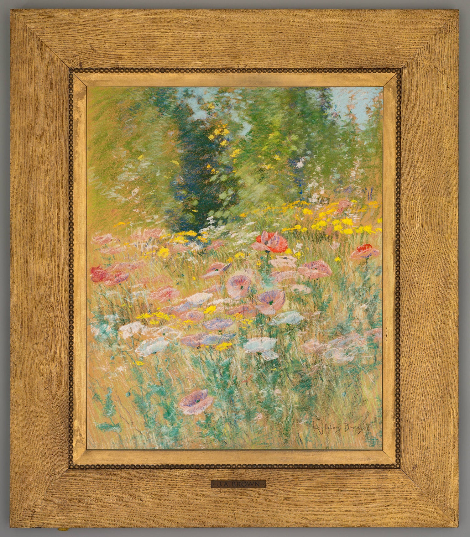 Garden of Poppies Colored Pencil Set