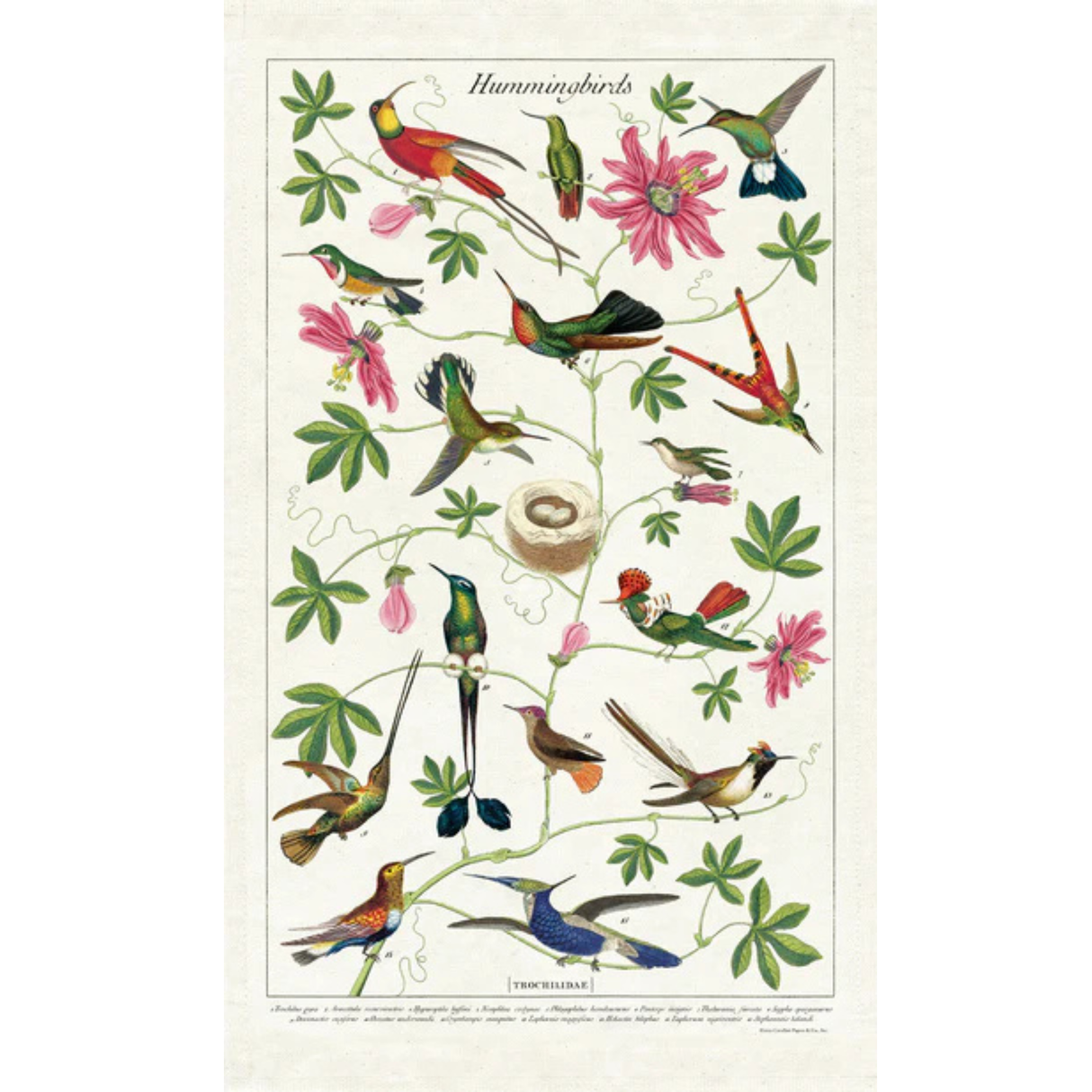 Hummingbirds Tea Towel