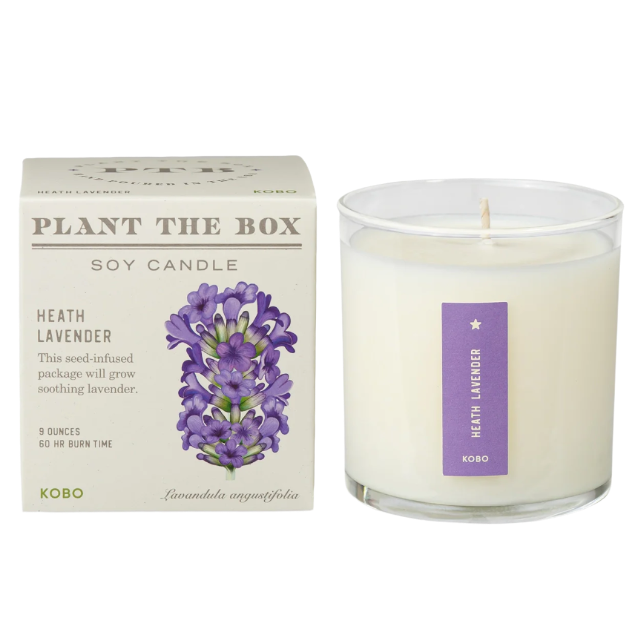 Plant the Box Heath Lavender Candle