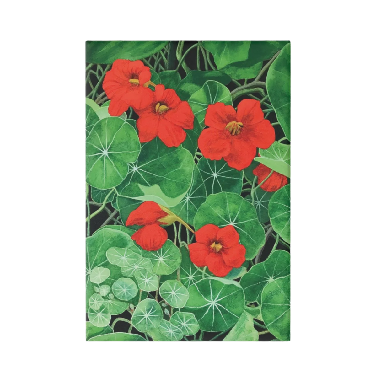 Community Nasturtiums Magnet