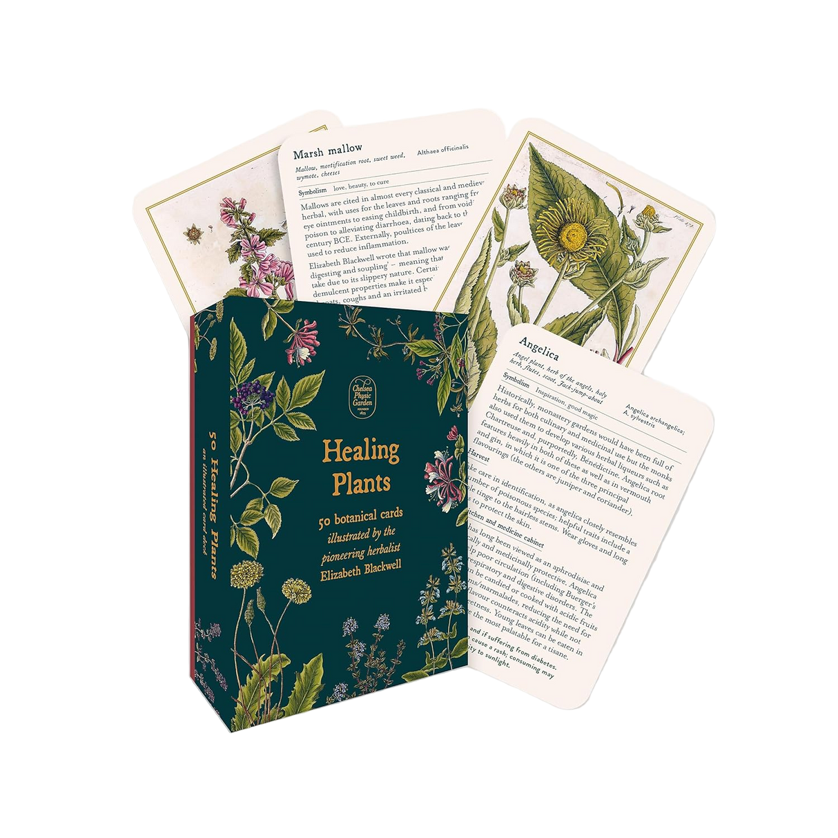 Healing Plants