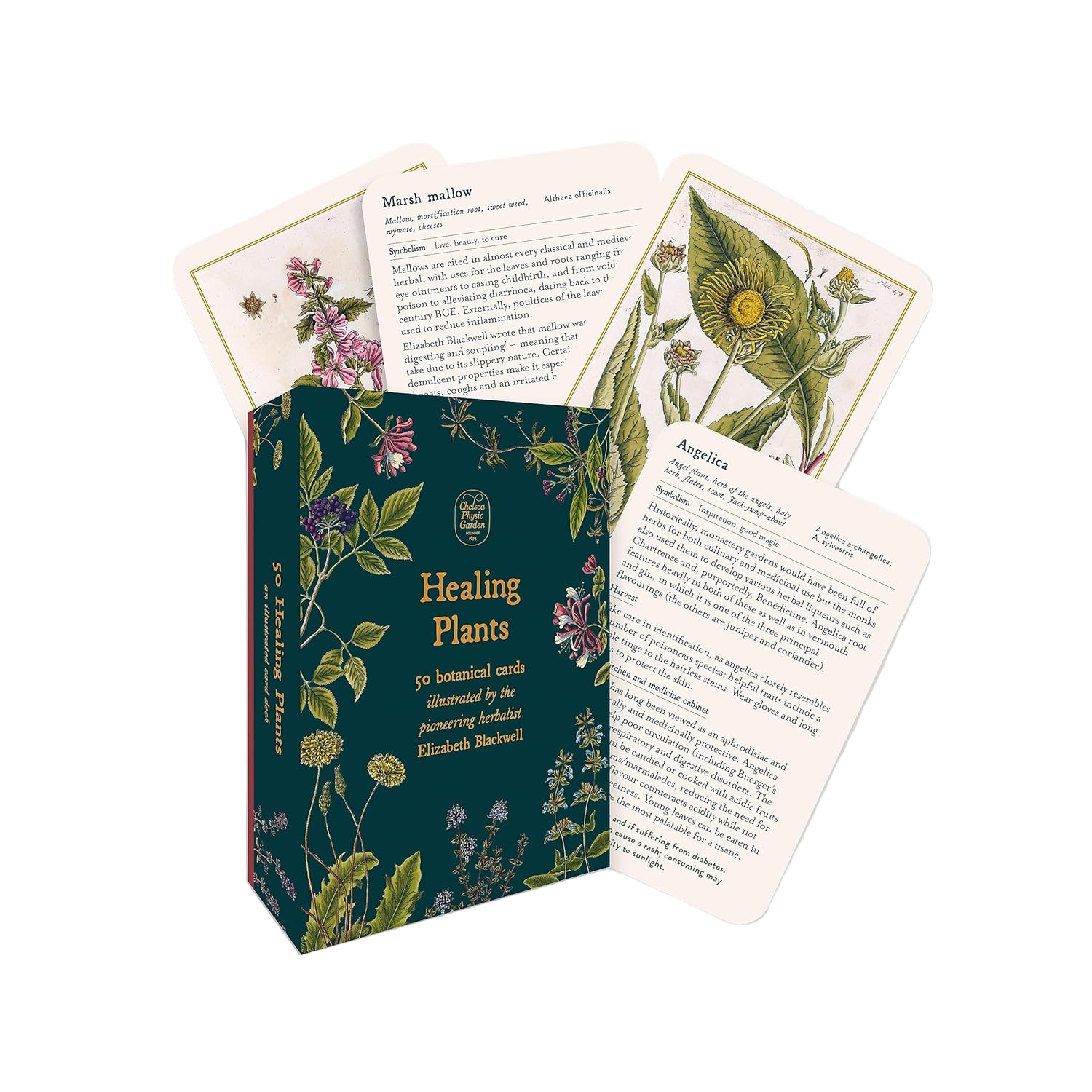 Healing Plants