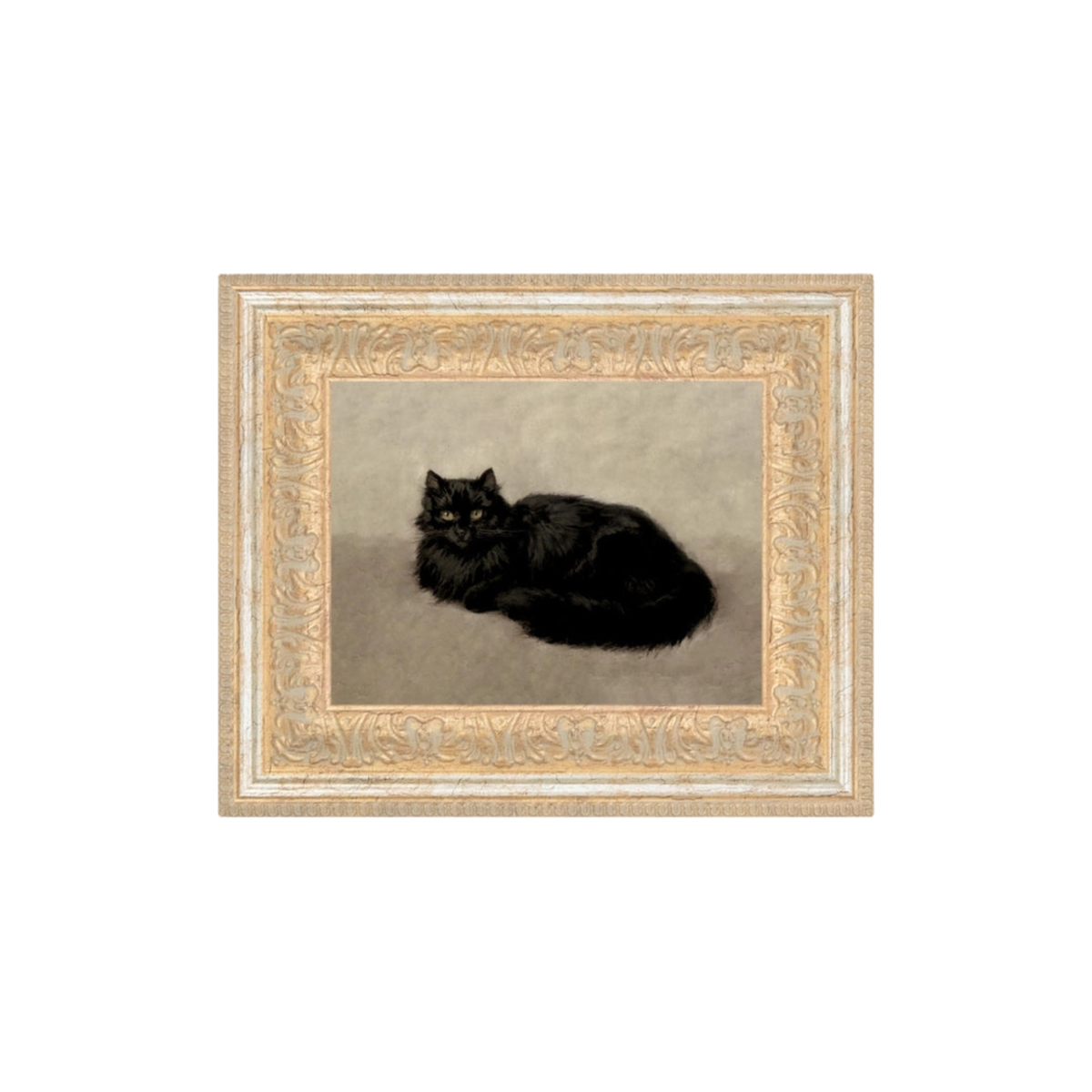 Black Cat Framed Print