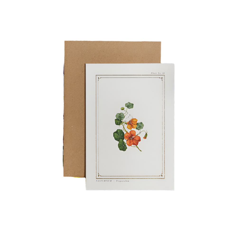 The Botanist Archive: Nasturtium Single Card