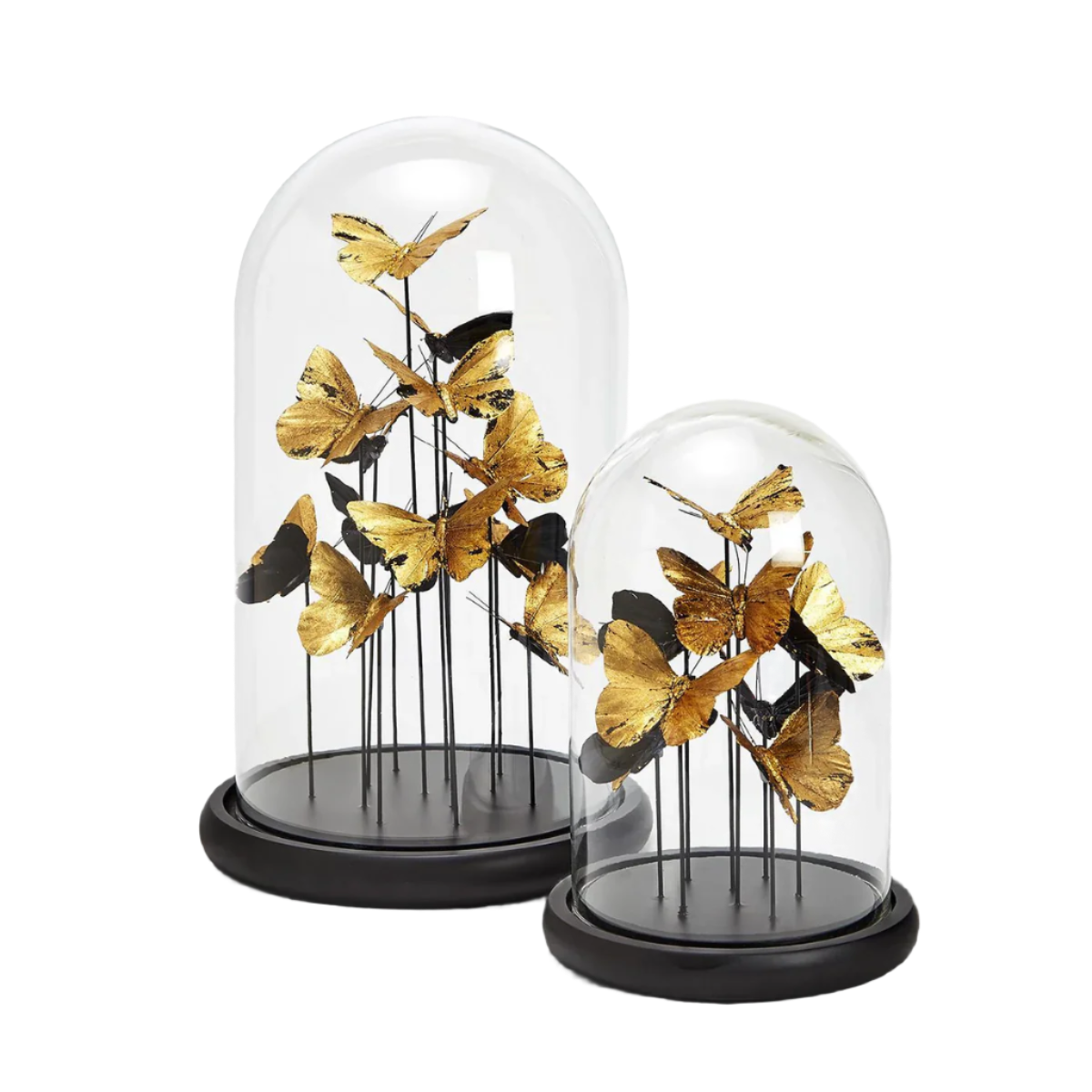 Golden Butterflies Cloche