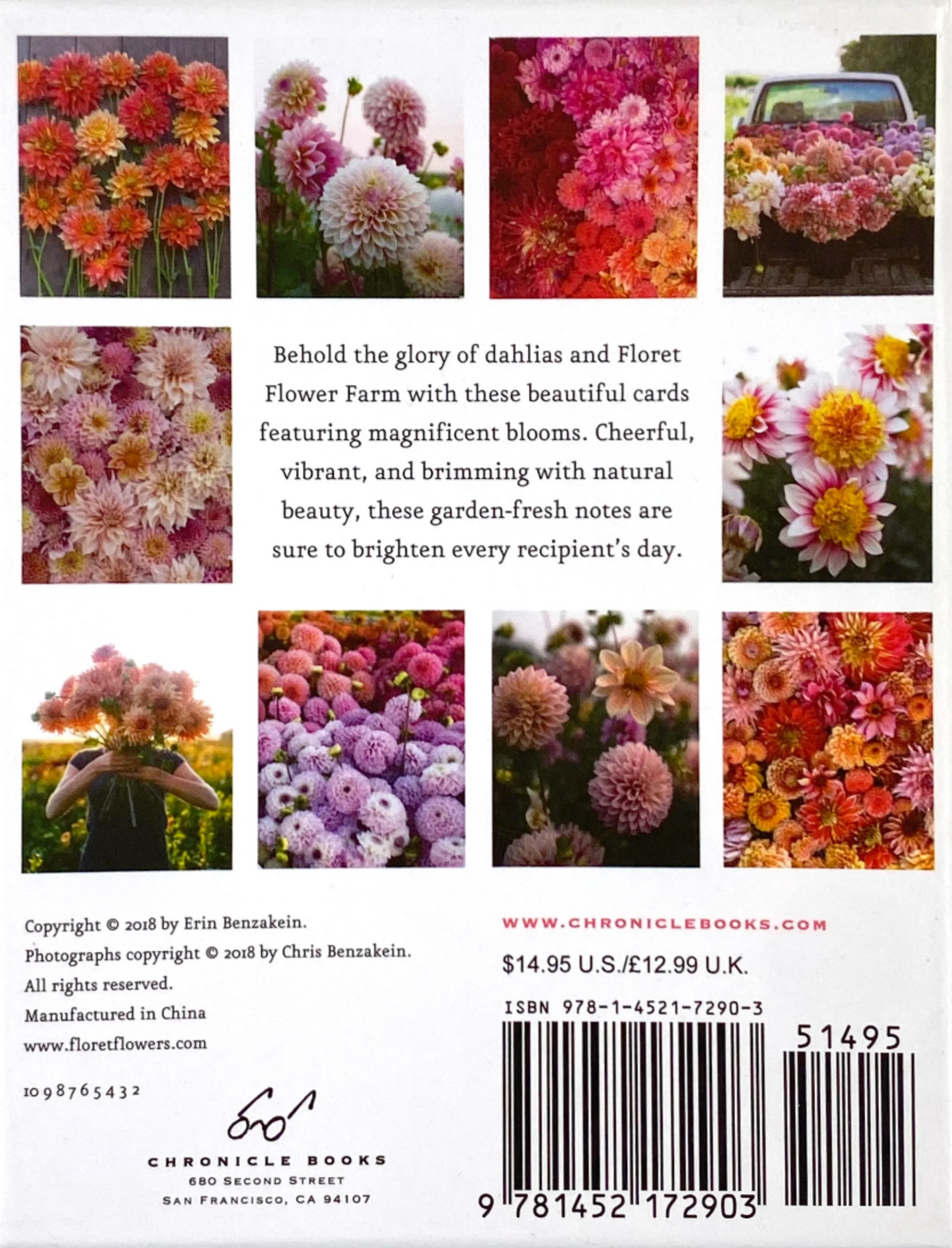 Floret Farm's Cut Flower Garden: Dahlia Notes