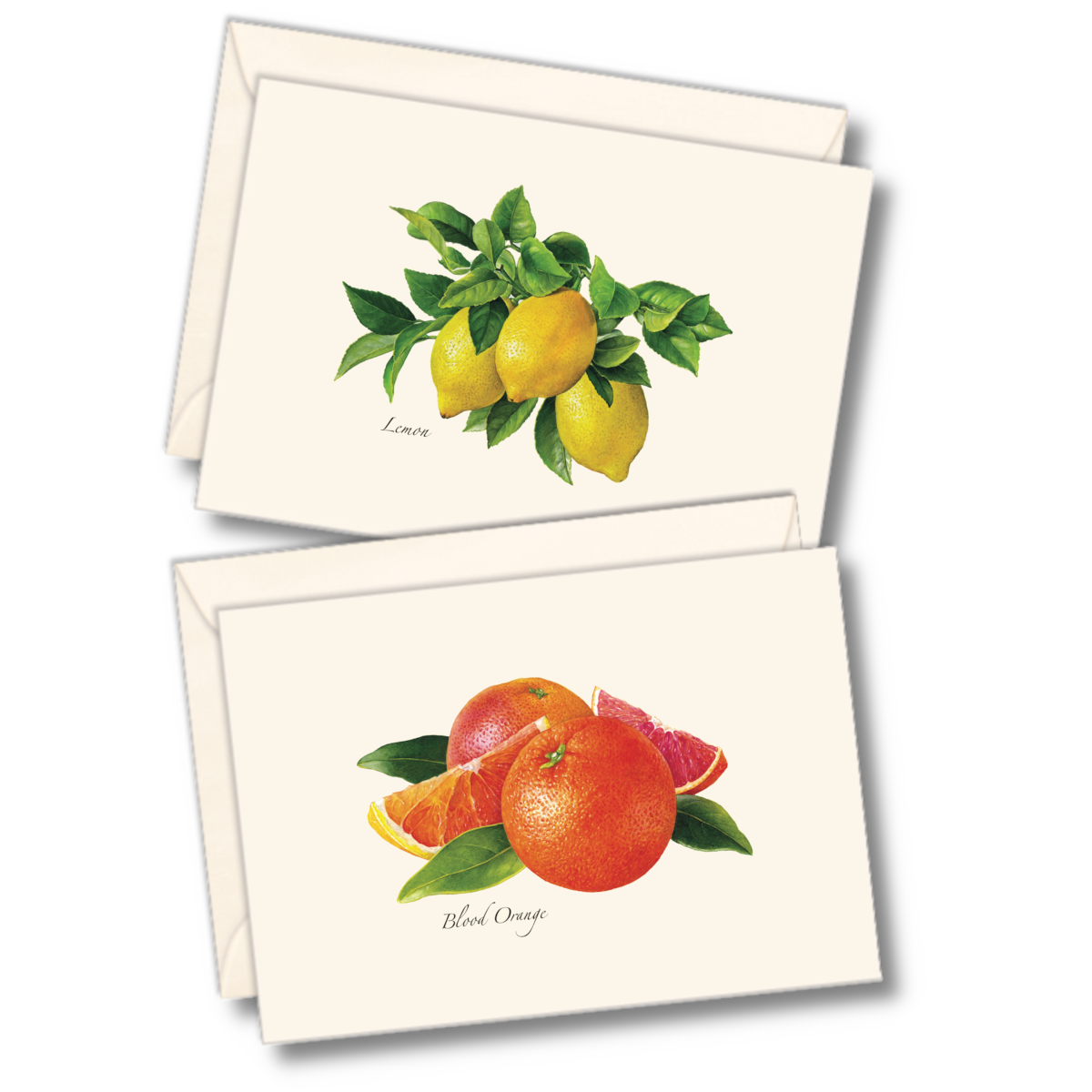 Citrus Boxed Notecards