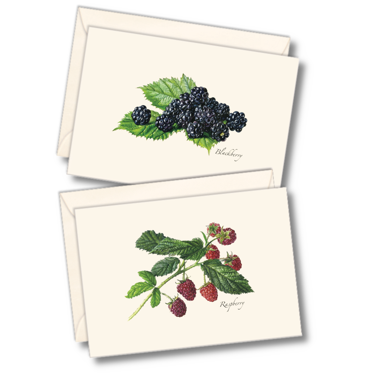 Berry Boxed Notecards