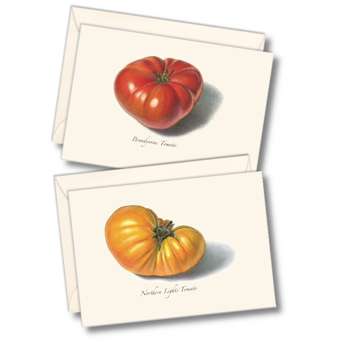 Tomato Boxed Notecards