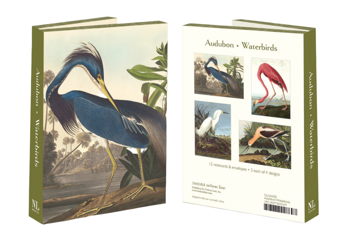 Audubon Water Birds Notecard Set Gift at the Gardner