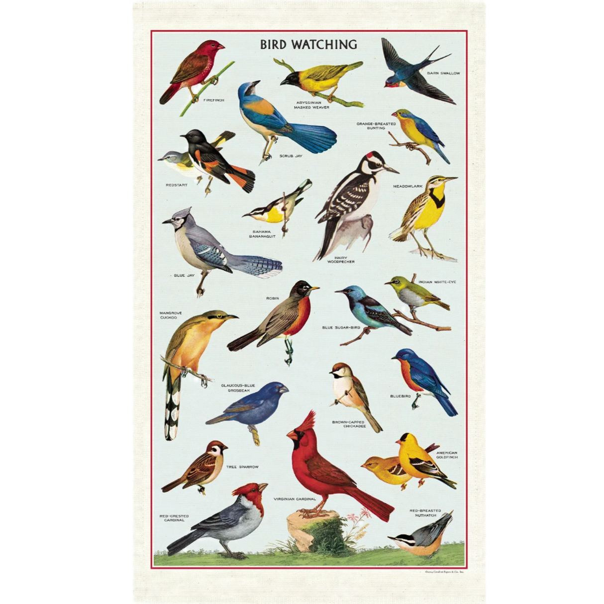 Bird Watching Tea Towel