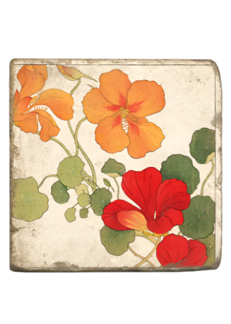 Red & Orange Vine Nasturtium Coaster