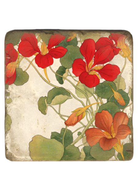 Red & Orange Cluster Nasturtiums Coaster