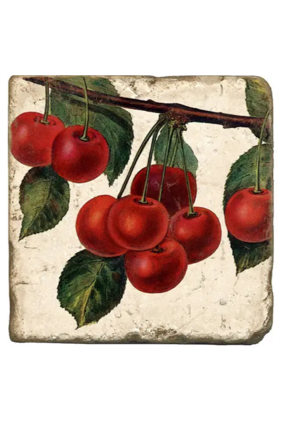 Cherry Bunches Coaster