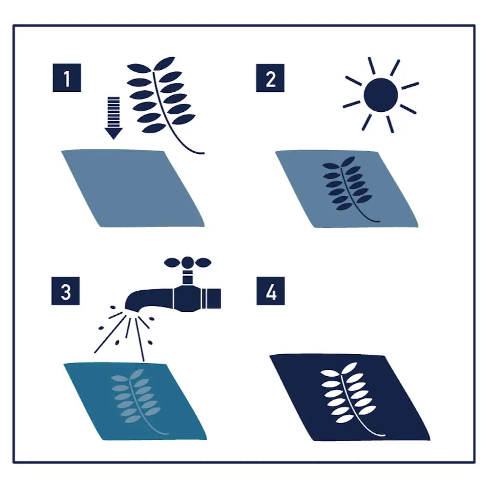 Sunography Fabric Kit