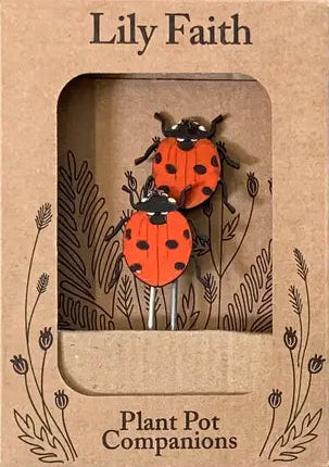 Ladybug Plant Pot Companions