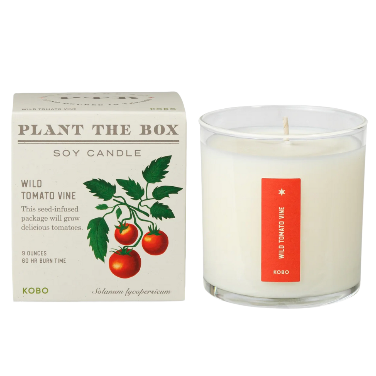 Plant the Box Wild Tomato Vine Candle
