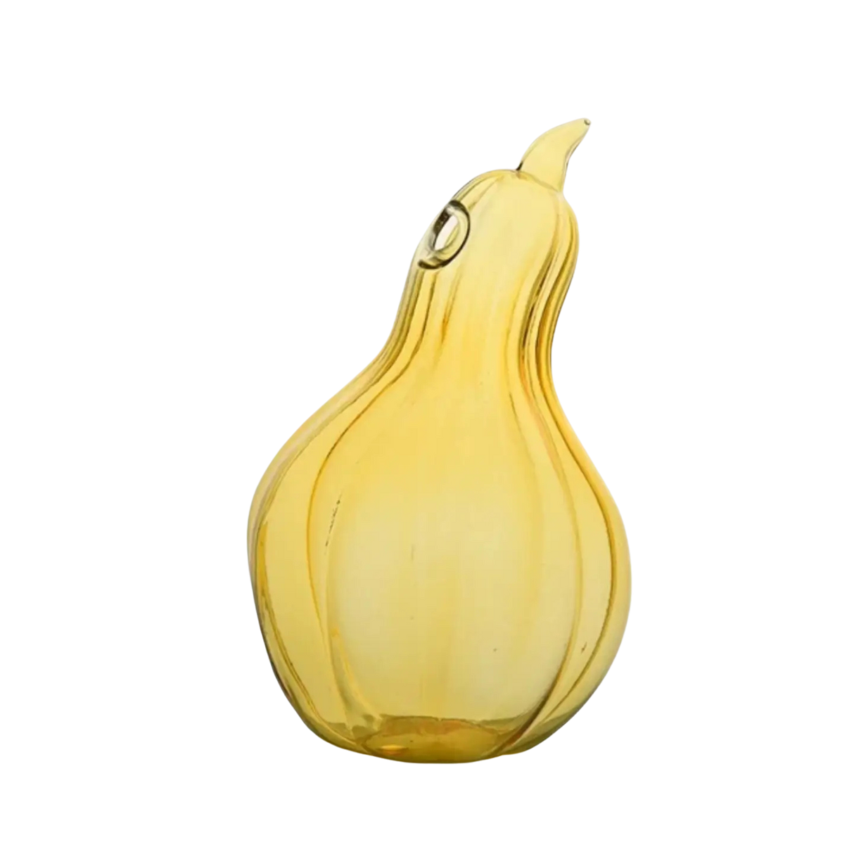 Squash Hydroponic Terrarium Vase