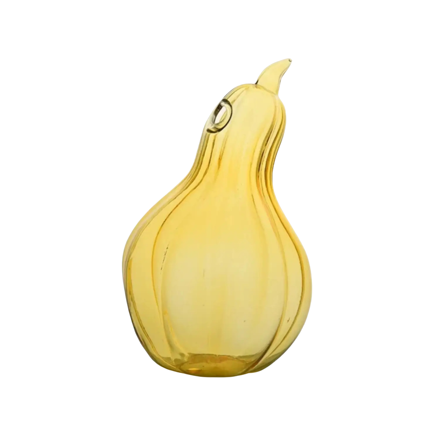 Squash Hydroponic Terrarium Vase