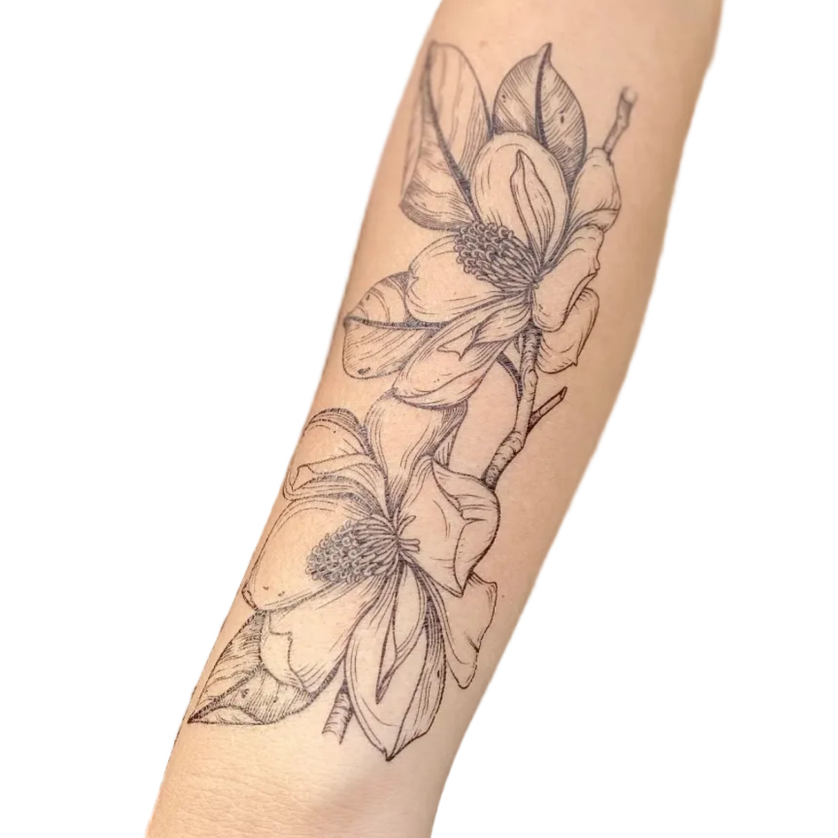 Magnolia Temporary Tattoo