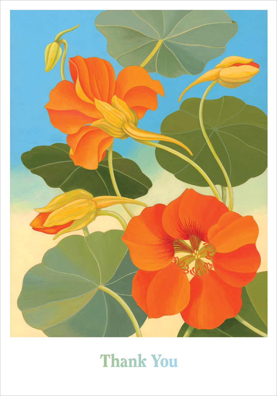 Nasturtium Boxed Thank You Card Set