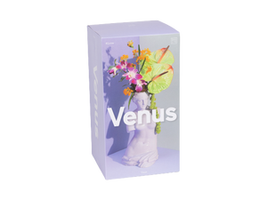 Venus Vase in Lilac