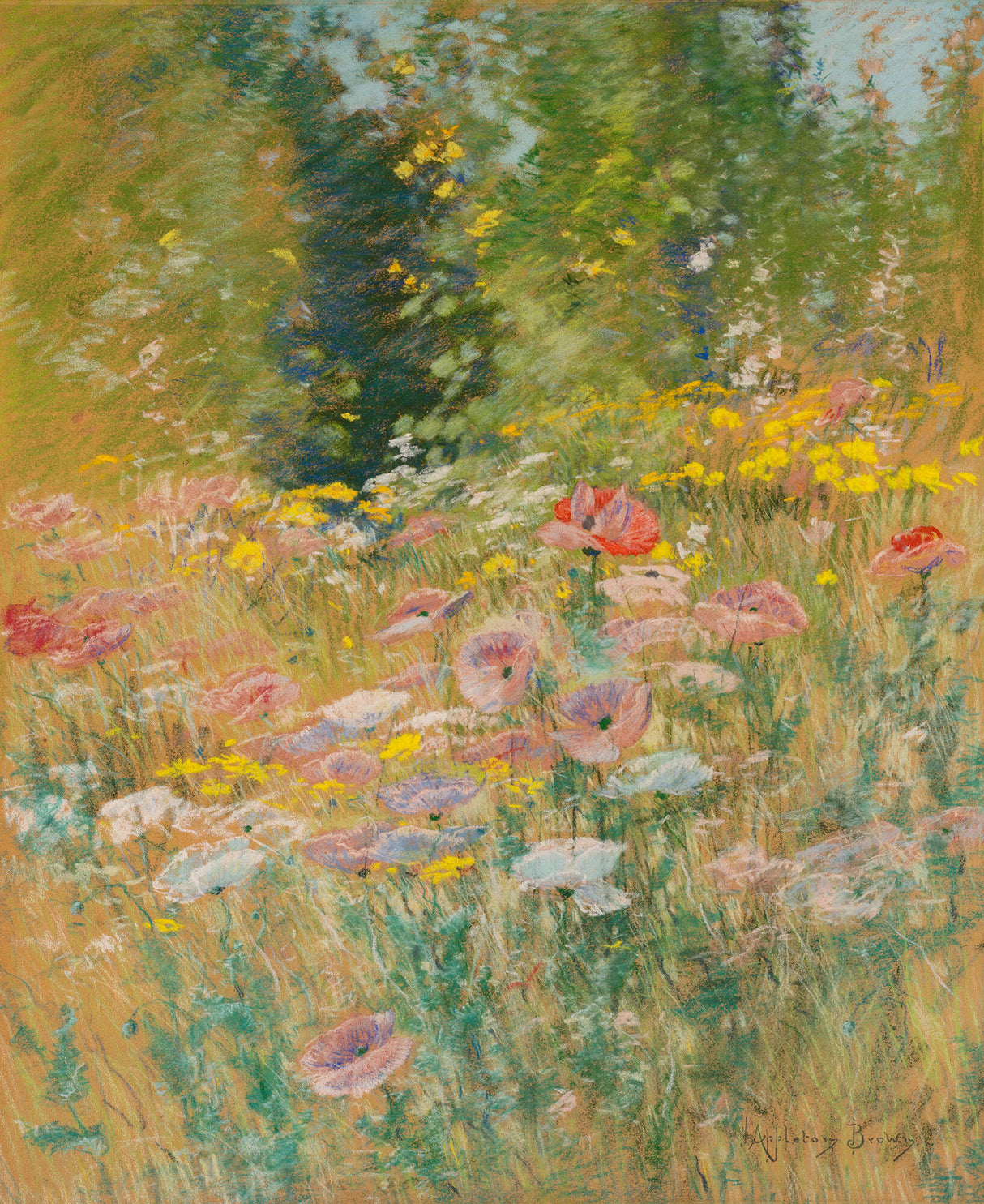 Garden of Poppies Candle