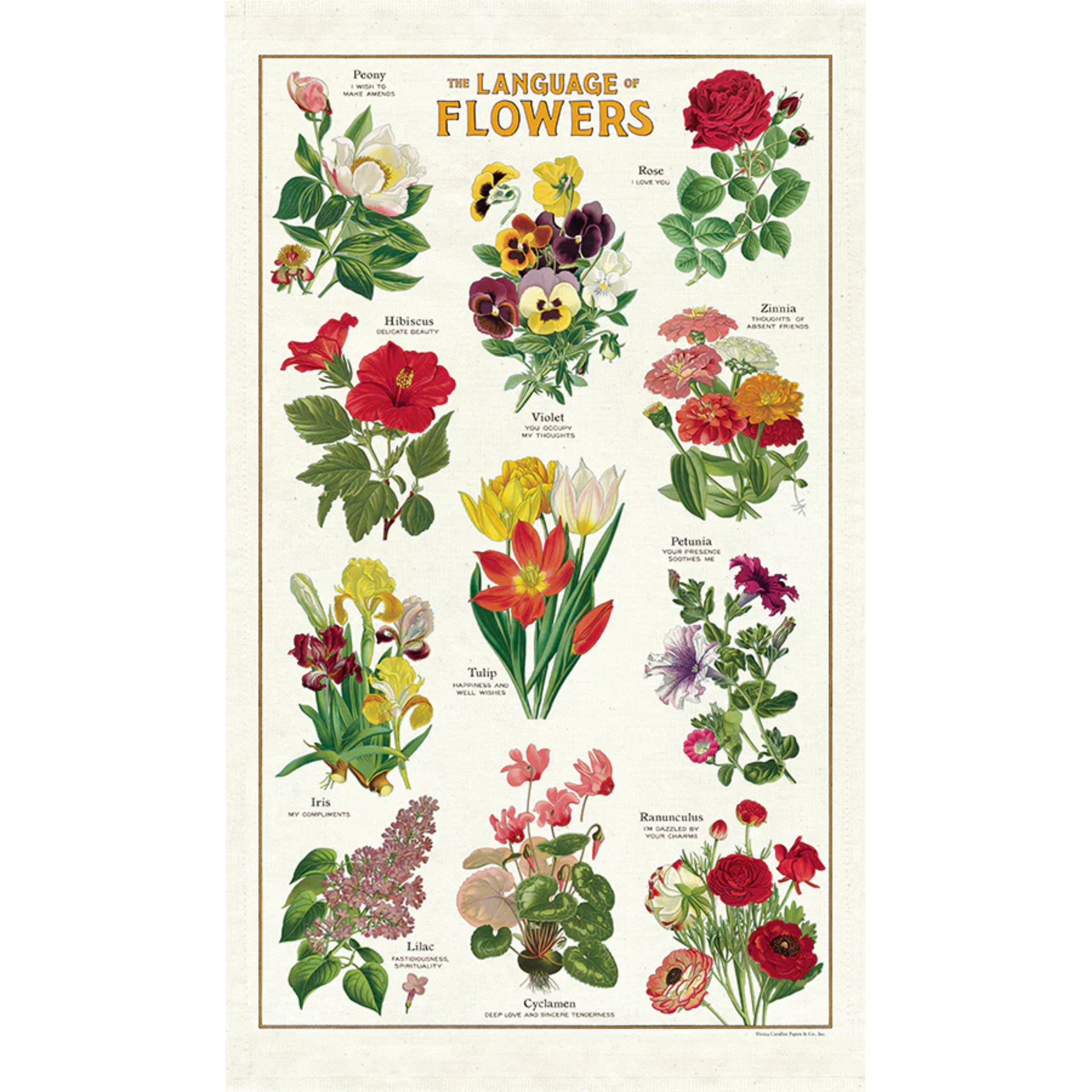 トップス convenience young Language of flowerstee The Language of Flowers Tea Towel – Gift at the Gardner