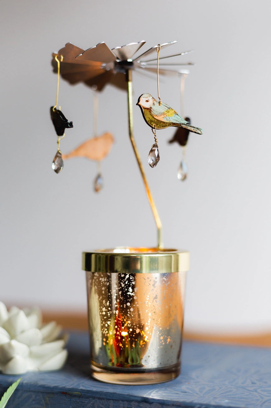 Blue Tit Candle Carousel