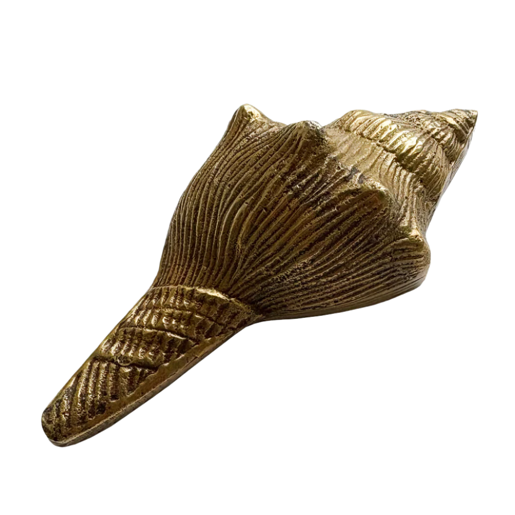 Conch Shell Paperweight