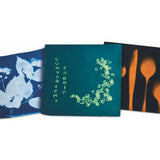 Sunography Fabric Kit