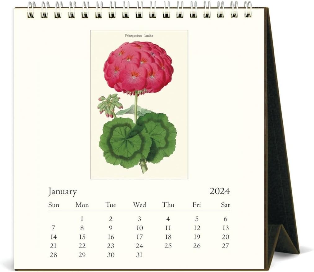 Calendrier Herboristerie 2024 - Rustica - Multicolore 30 x 30 cm :  Calendriers ÉDITIONS RUSTICA maison - botanic®
