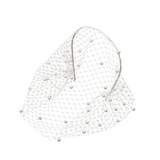Birdcage Veil