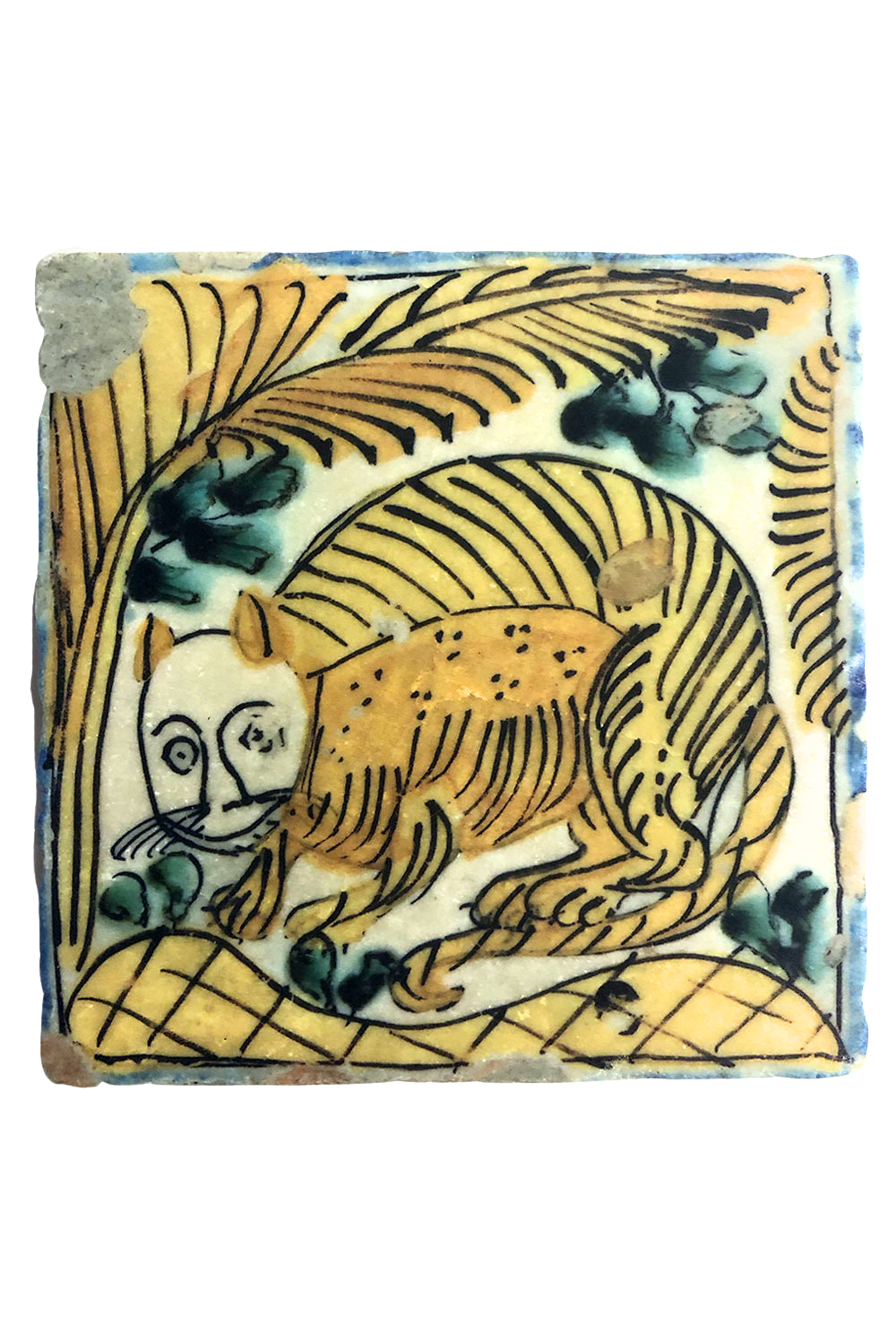 Mexican Coaster: Weird Cat