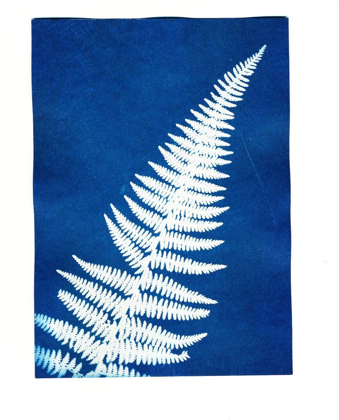Sunography Paper Kit _ Sunography paper – VXNZ