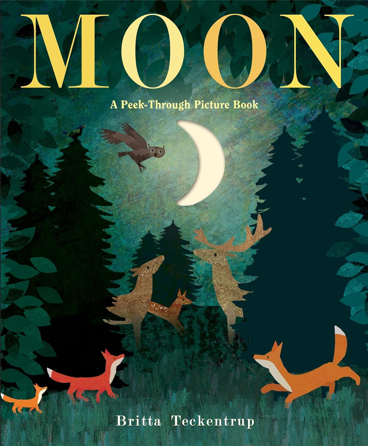 Moon: A Peak-Through Picture Book