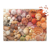 Vibrant Seashells Puzzle