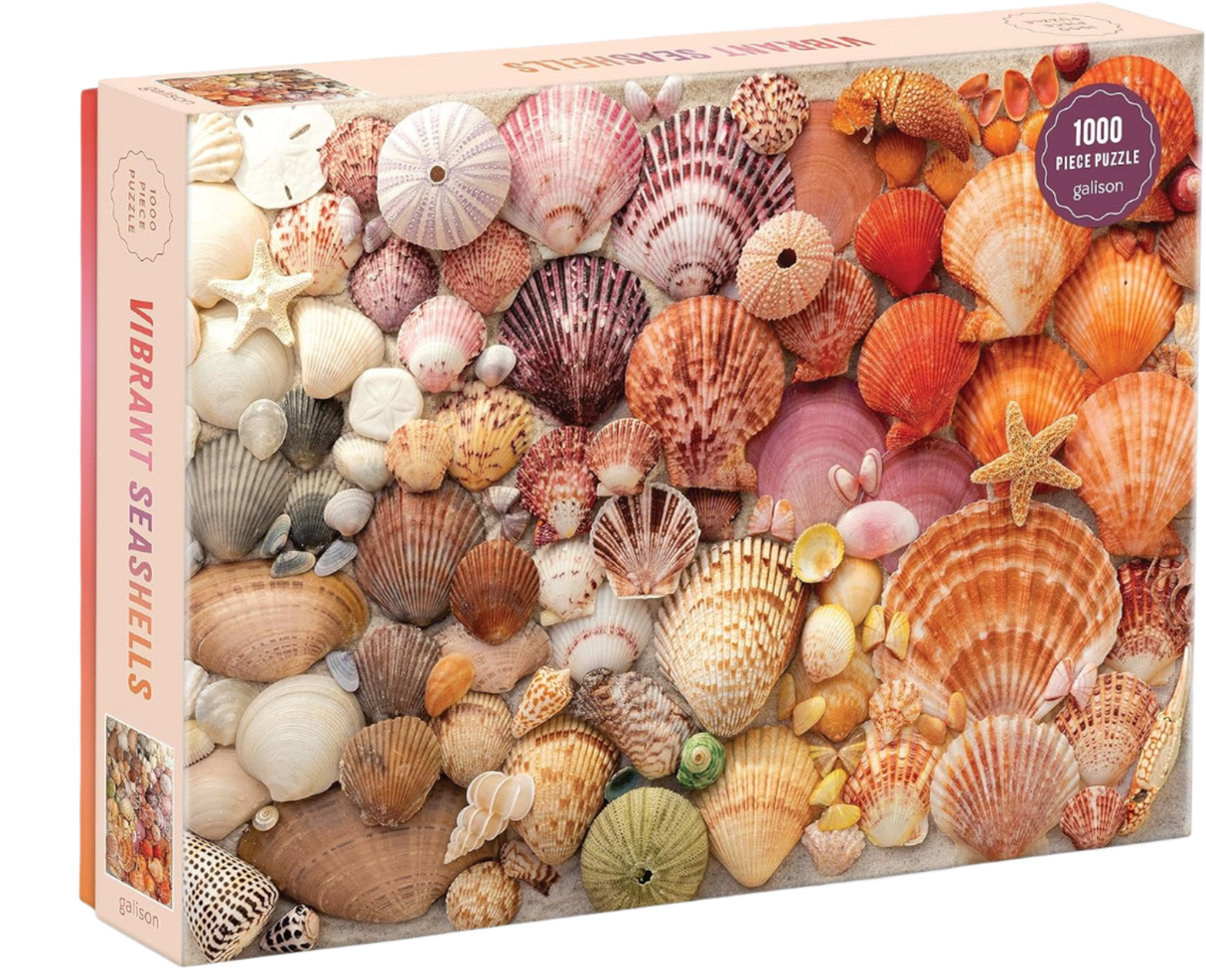 Vibrant Seashells Puzzle