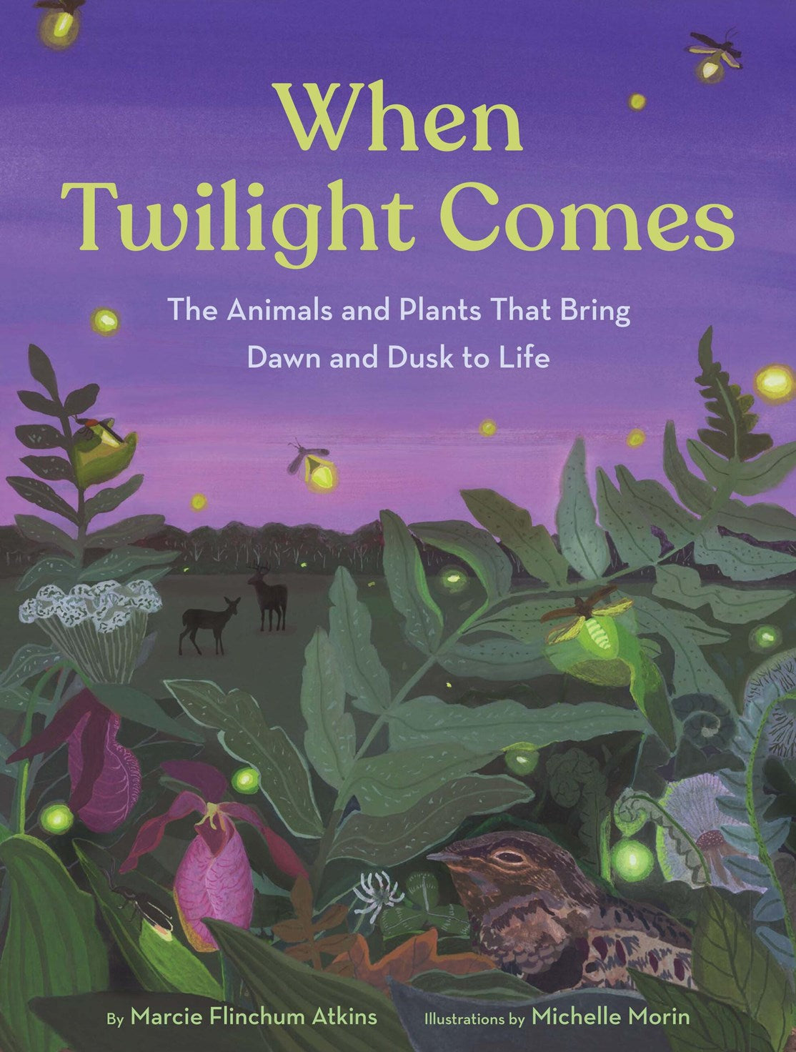 When Twilight Comes: The Animals and Plants That Bring Dawn and Dusk to Life