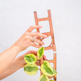 Stella Plant Ladder