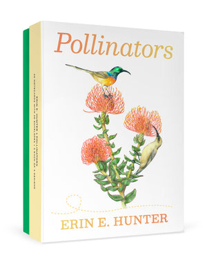 Pollinators Boxed Notecards