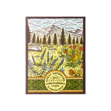 Great Outdoors Correspondence Cards
