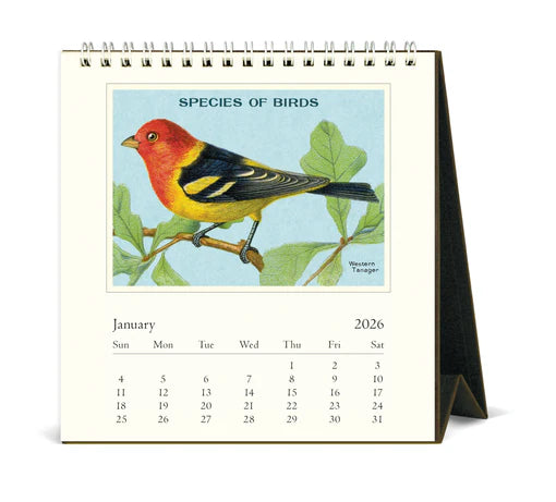 2026 Birds Desk Calendar