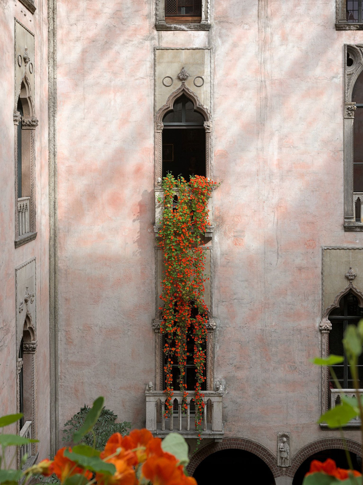 Nasturtium Window Ornament