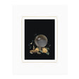 An unframed print of a crystal ball with candles and flowers on a black background.