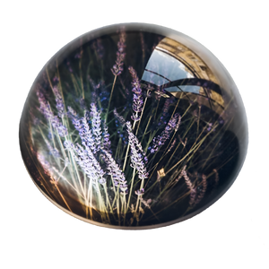 Lavender Paperweight