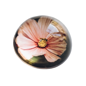 Bee on Cosmos Paperweight