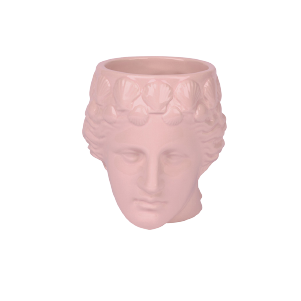 Pink Venus Mug