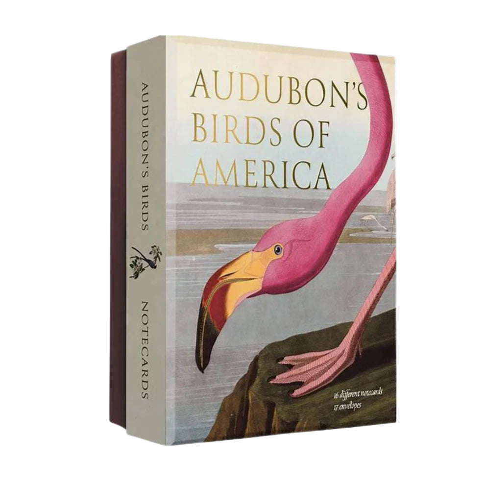 Audubon's Birds of America Notecard Set