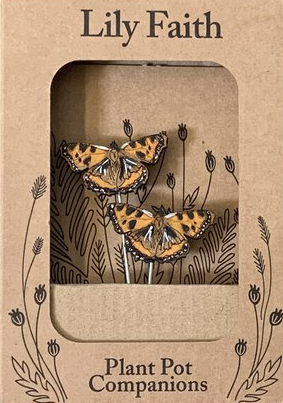 Tortoiseshell Butterfly Pot Companion